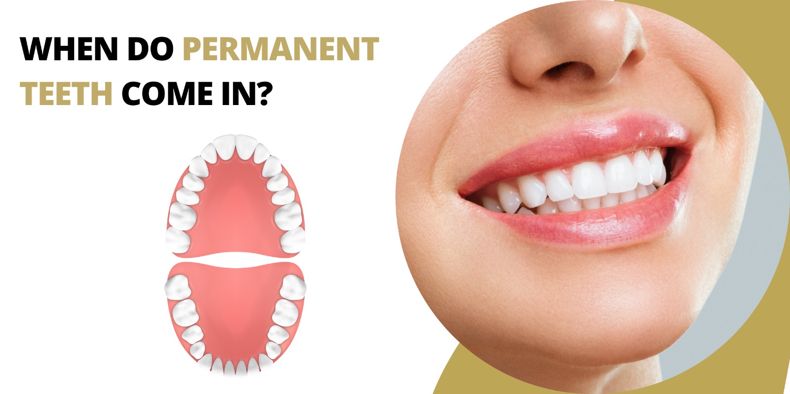 WHEN DO PERMANENT TEETH COME IN?