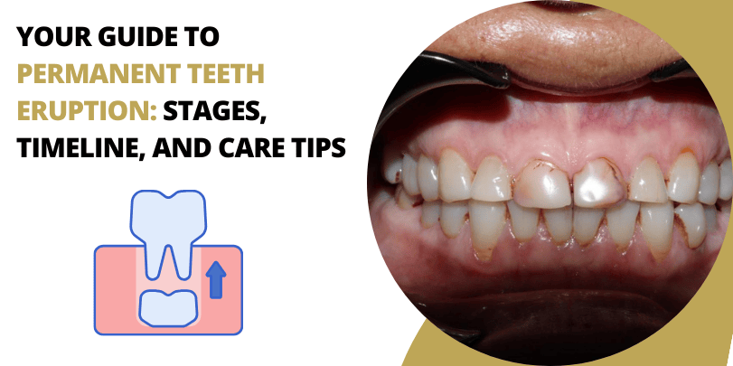 Your Guide to Permanent Teeth Eruption Stages, Timeline, and Care Tips